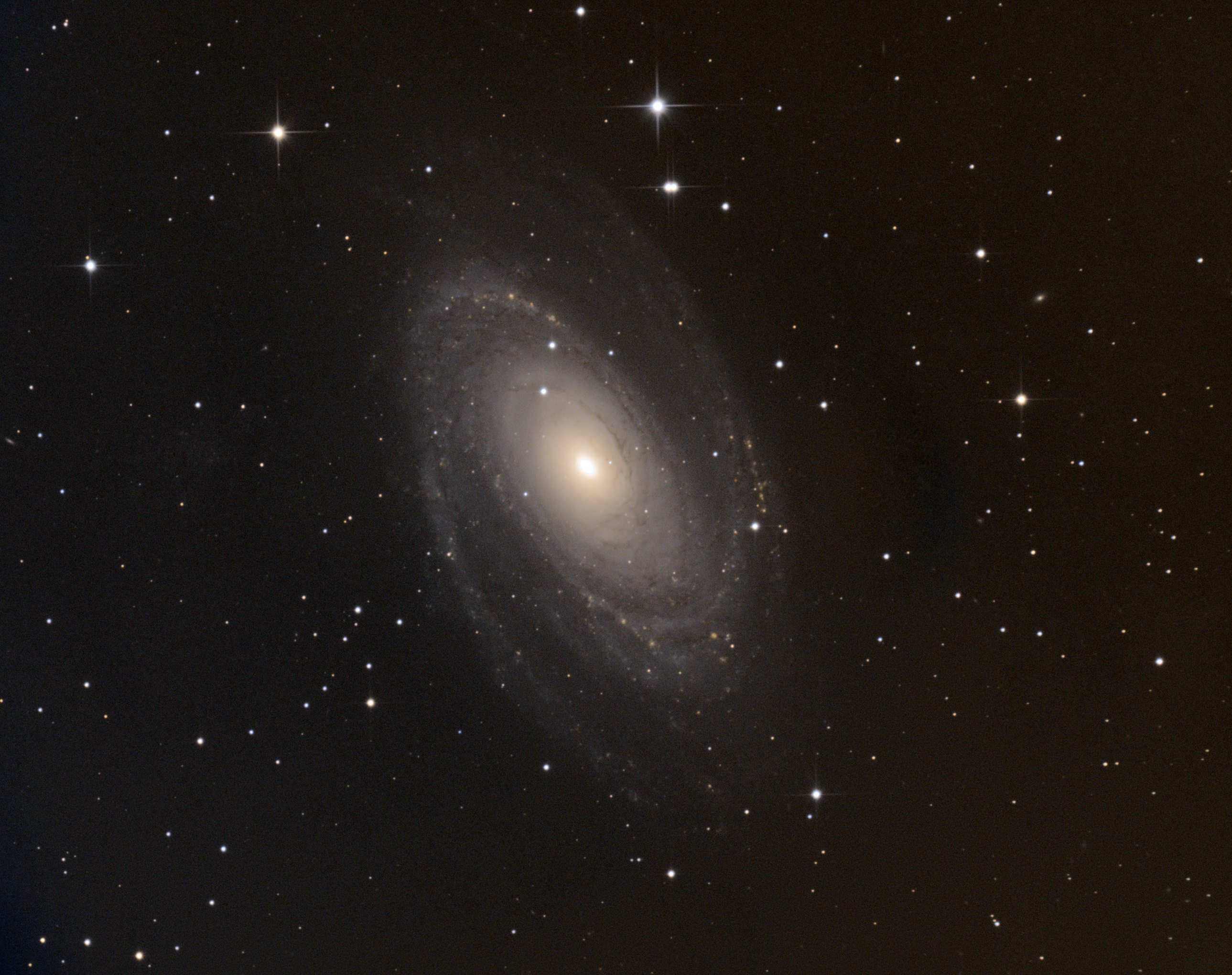 M 81 bis