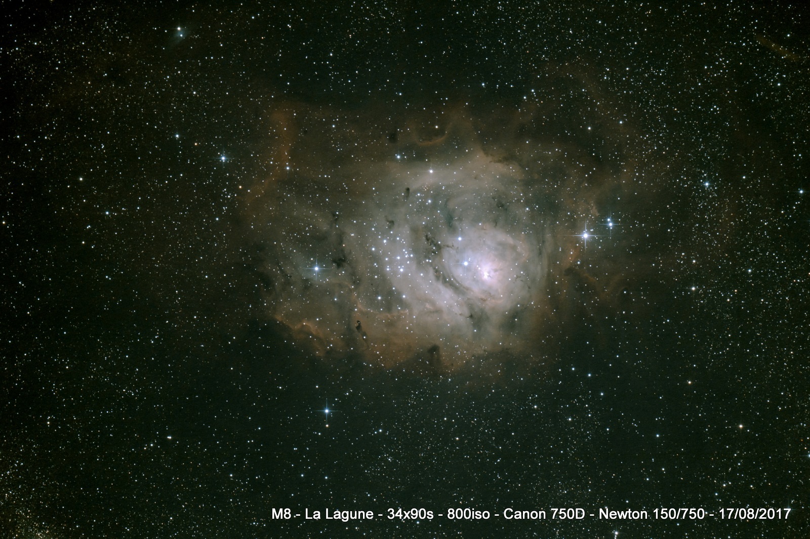 M8 - Nénuleuse de la lagune