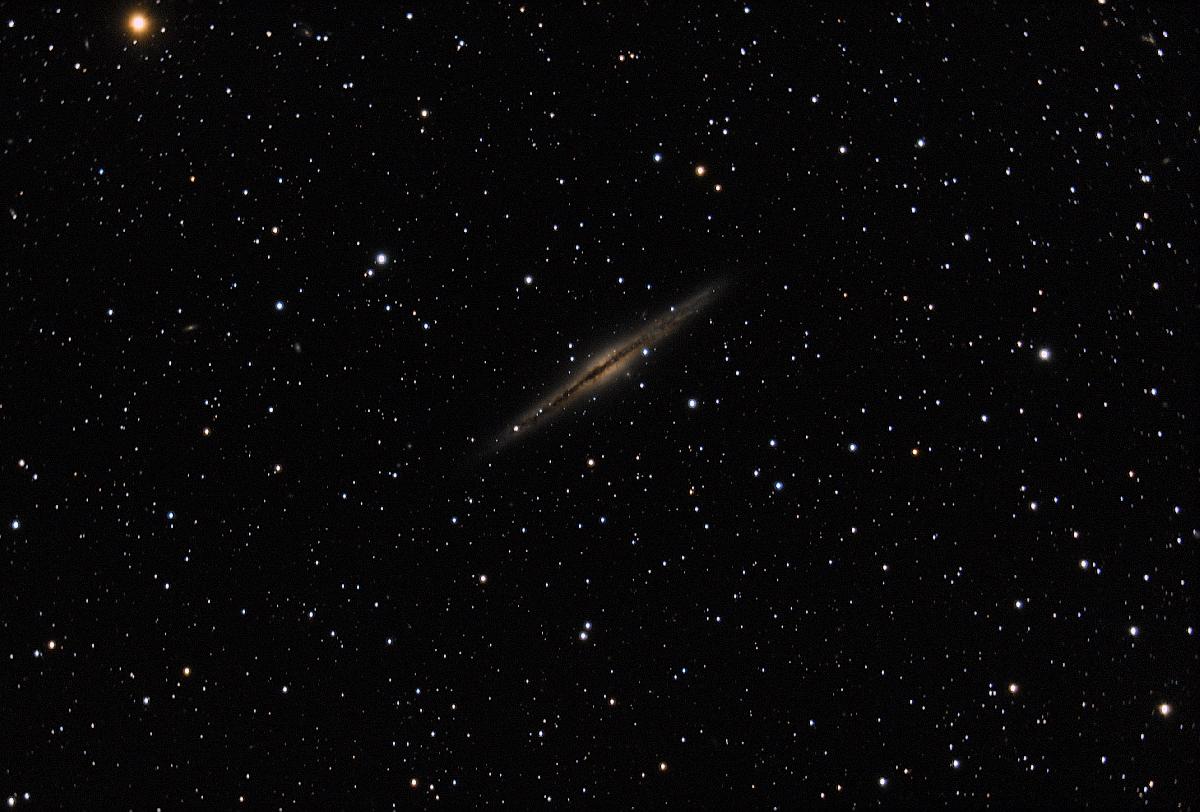 NGC891