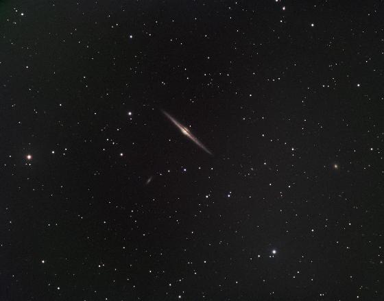 NGC4565