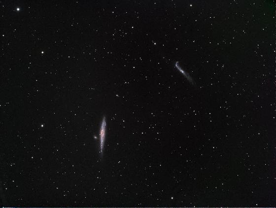 Ngc 4631 - la baleine
