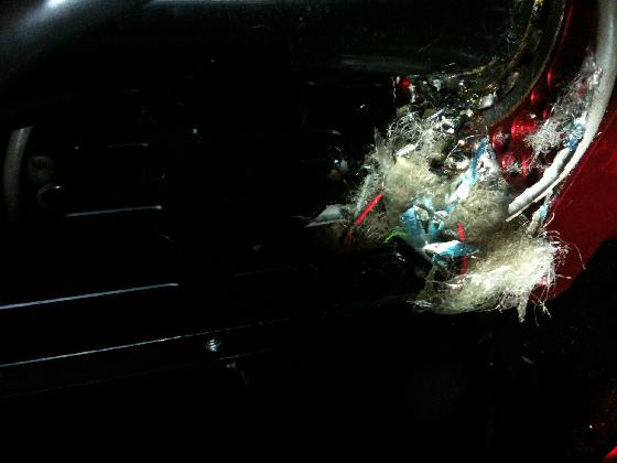 Souris 1 Souris 1