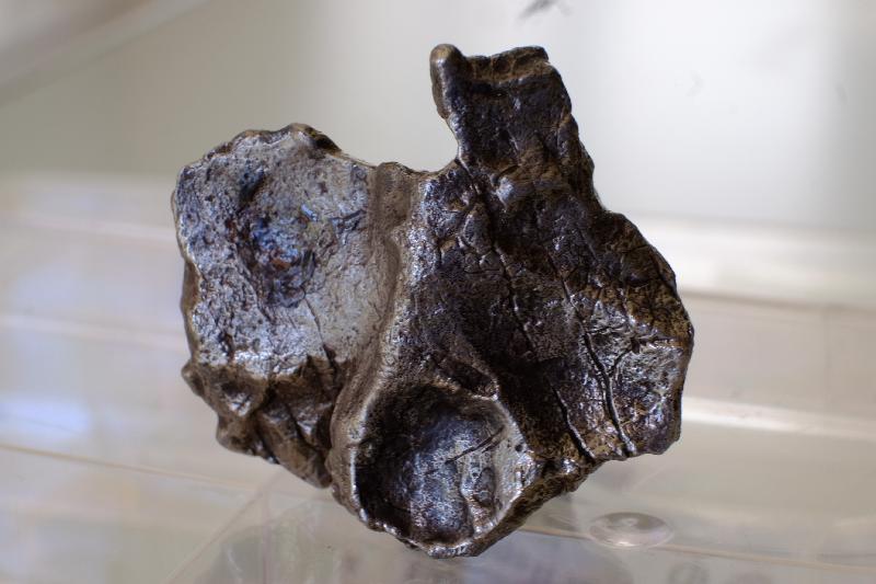 Météorite SIKHOTE-ALIN 198 Gr Rare Météorite SIKHOTE-ALIN 198 Gr Rare