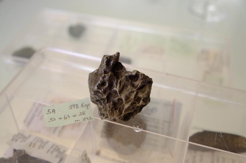 Météorite SIKHOTE-ALIN 198 Gr Rare Météorite SIKHOTE-ALIN 198 Gr Rare