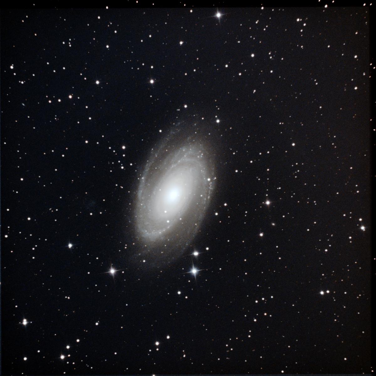 M81 M81