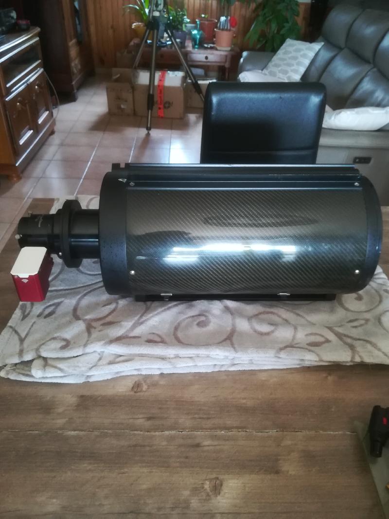 Vend GSO RC 8 Carbone. 