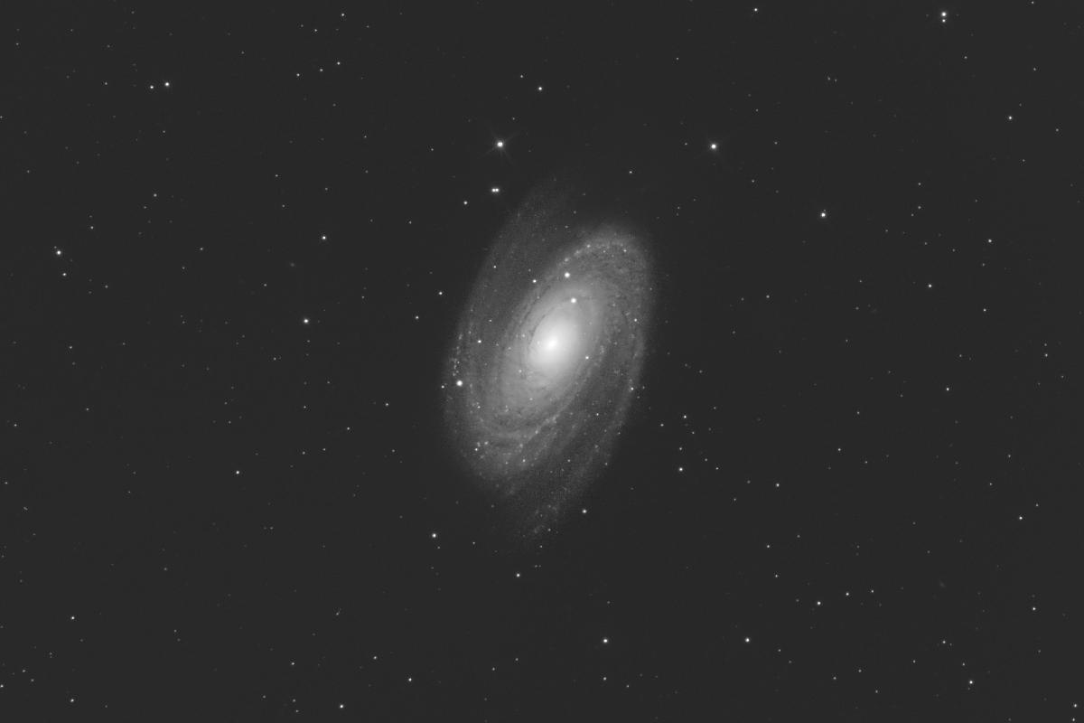 M81 M81
