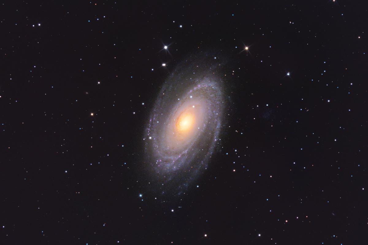M81 M81