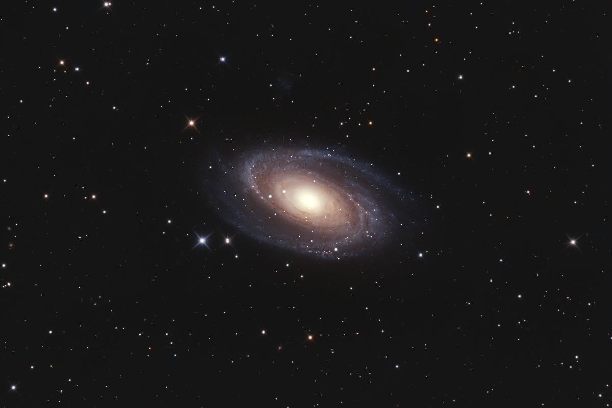 M81 M81