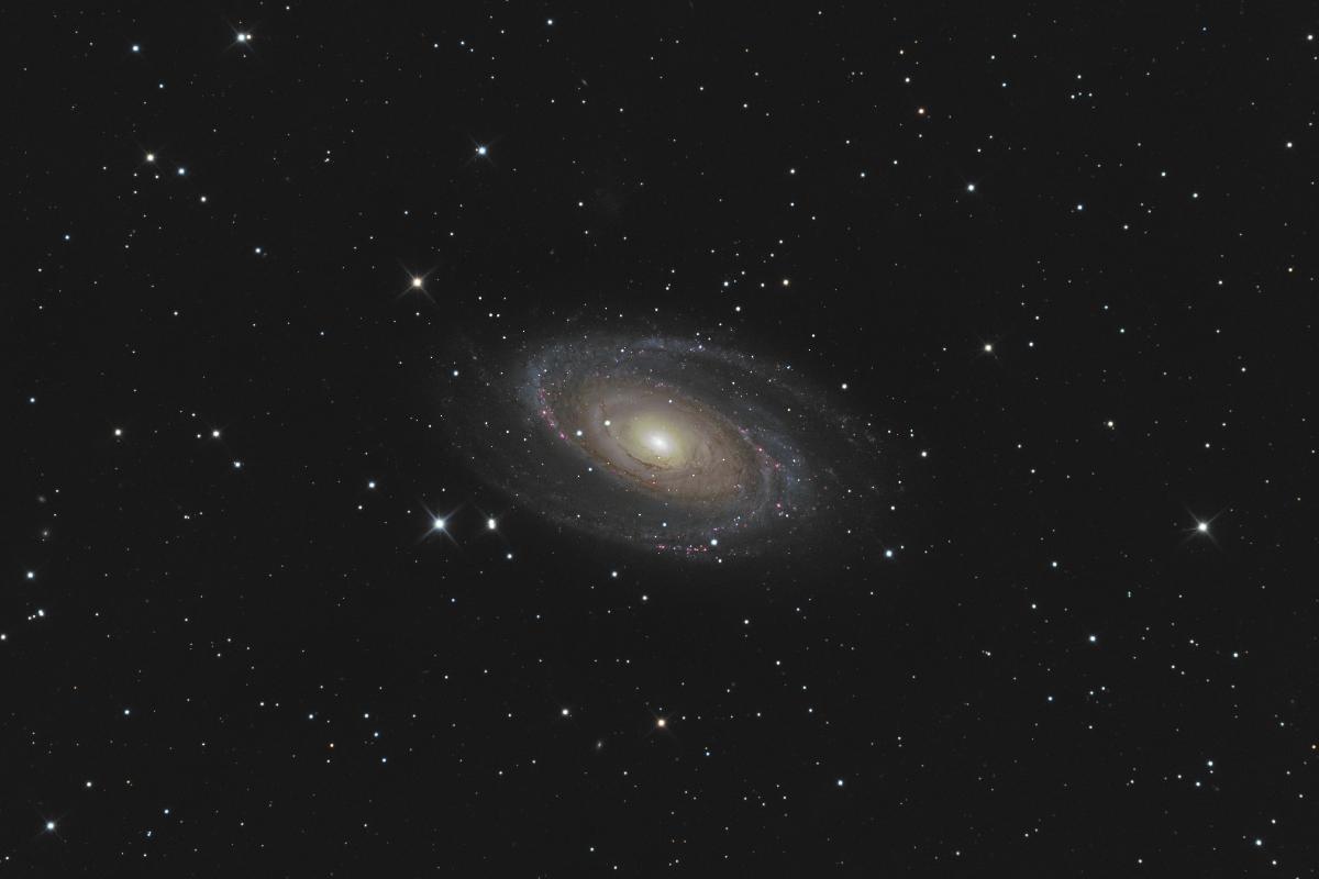 M81 M81