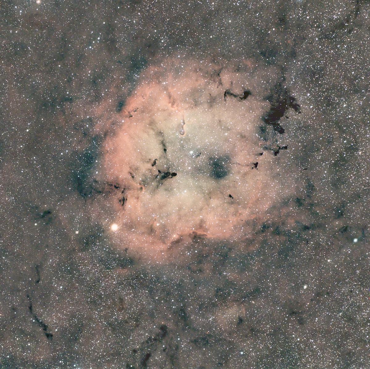 IC1396 IC1396