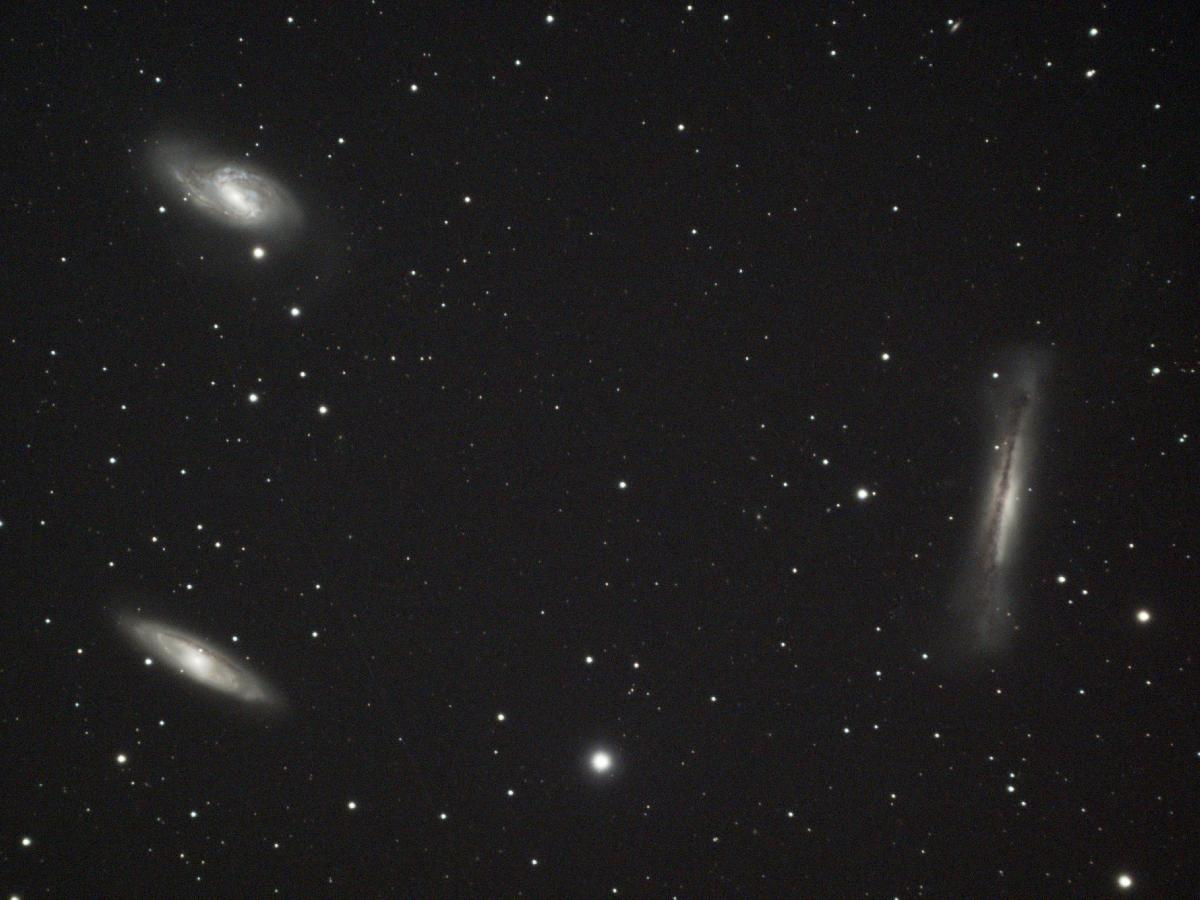 Le Trio du Lion Le Trio du Lion