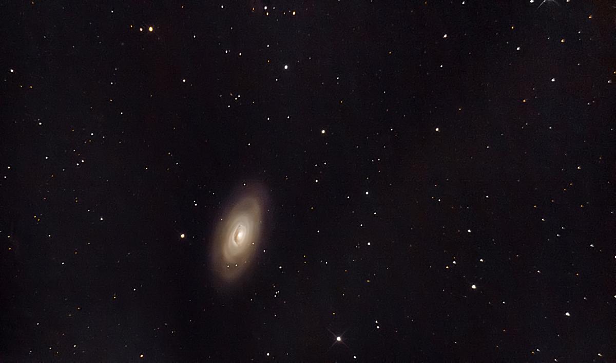 m64 m64