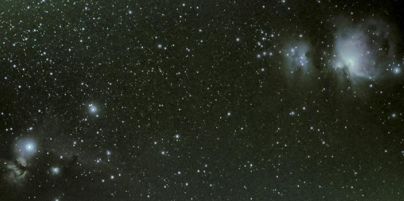 Orion Orion
