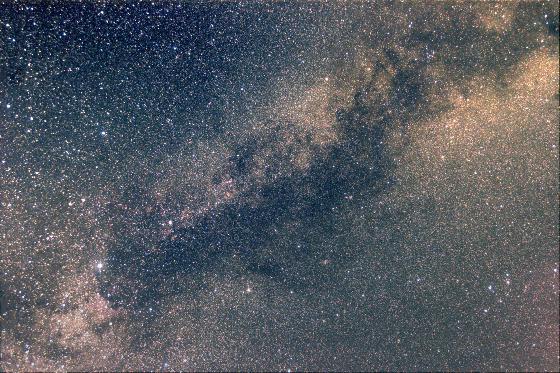 Le Cygne, le Dauphin et la Flèche dans un champ d'étoiles