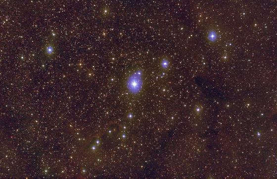 La Trompe d'Eléphant