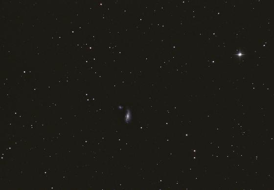 Un Cocon pour "Blacky"