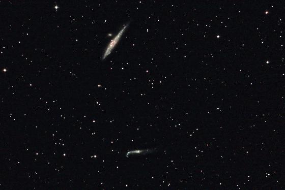 La Baleine et la Crosse