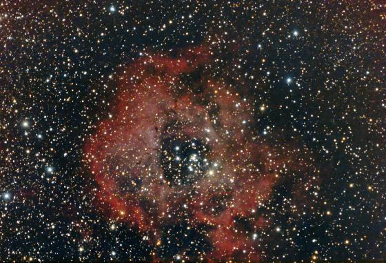 La Rosette empâtée