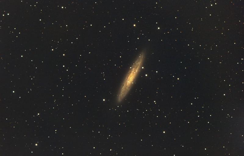 La galaxie du Dollar d'Argent