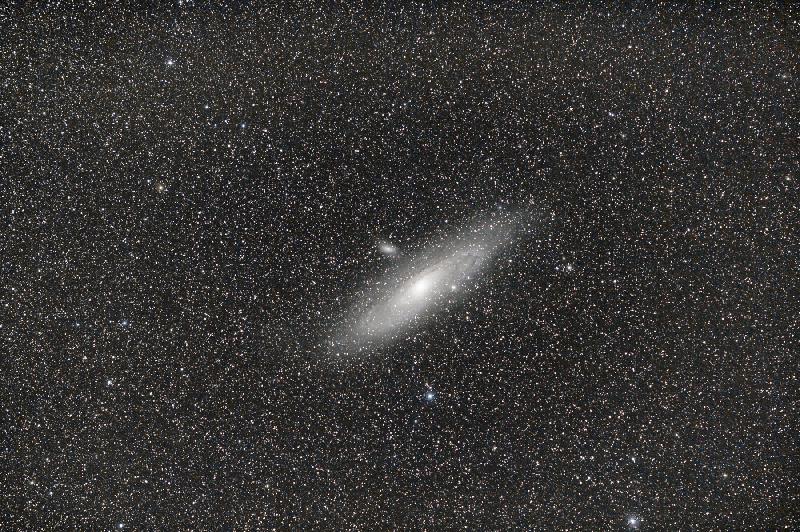 M31