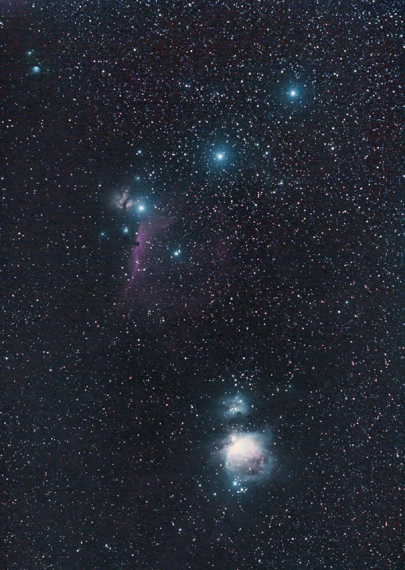 Orion Orion