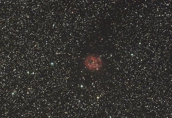 Cocon nebula zetajanus