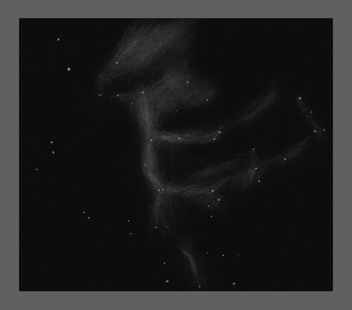 NGC6995 NGC6995