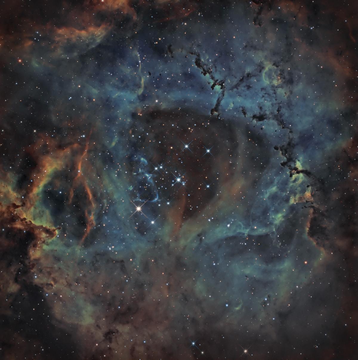 Rosette Rosette