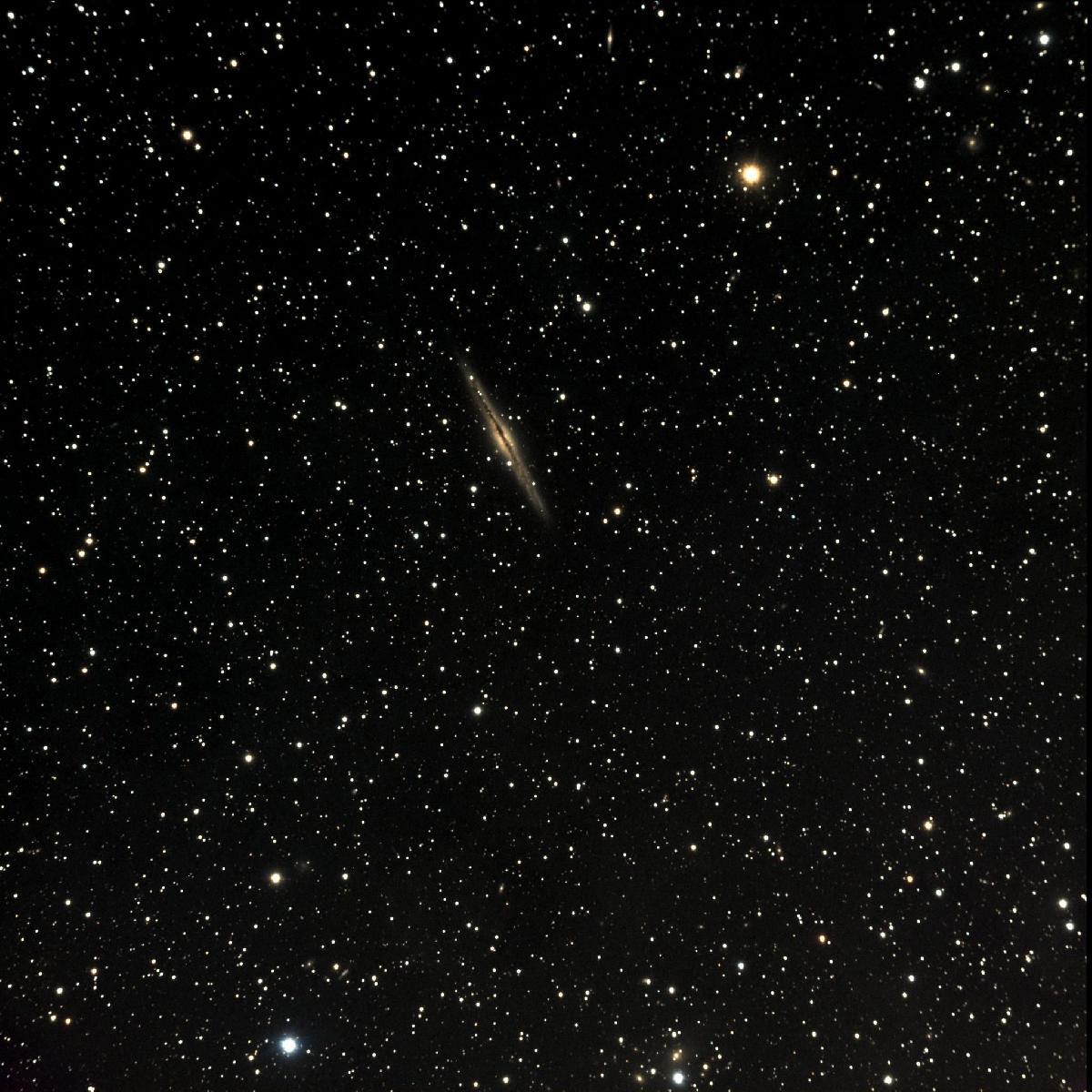 NGC 891 NGC 891