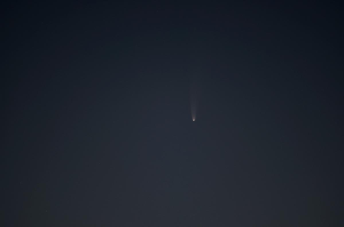 Neowise