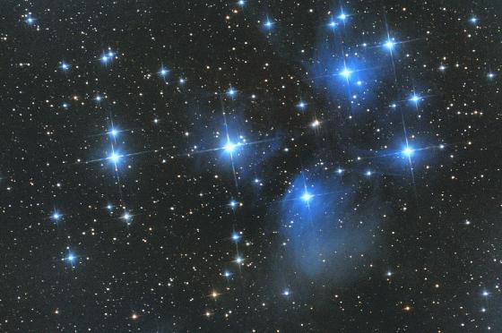 M45tampon
