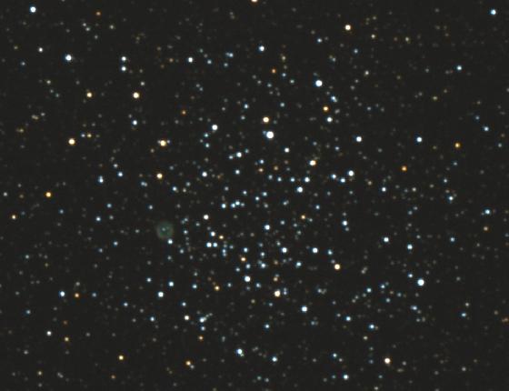 crop M 46