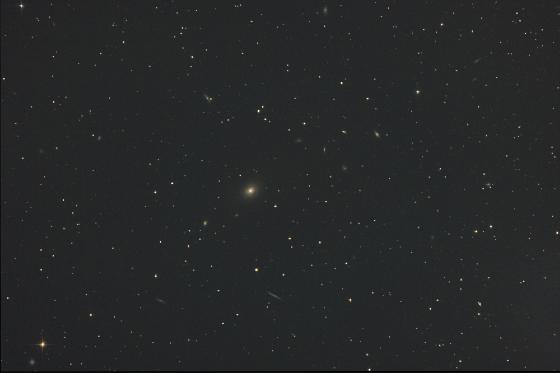 M49 M49