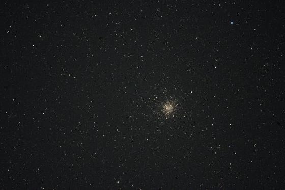 brute M22
