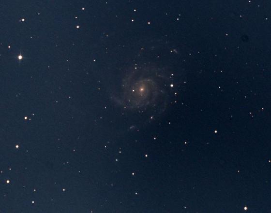 SN PTF11KLY  dans M101