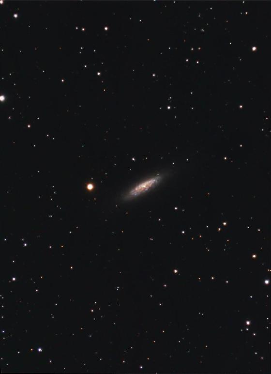 ngc6503