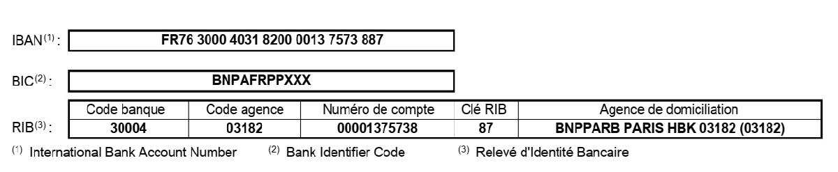 RIB