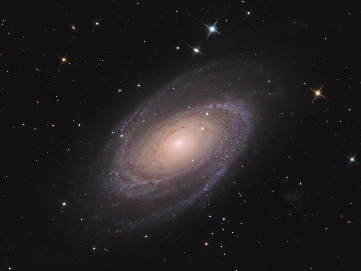 M81 M81