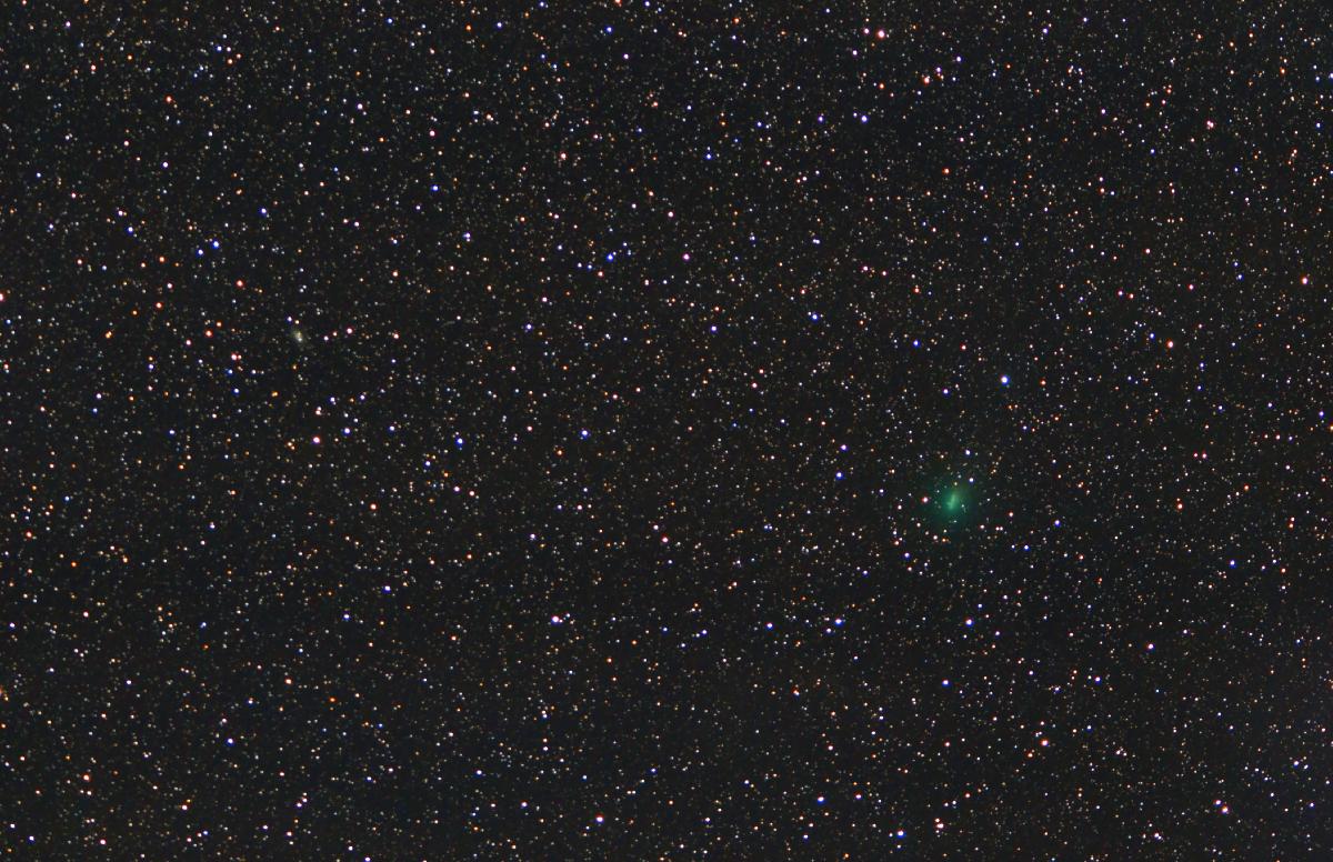 Comète 46P/Wirtanen GC au 05012019 (étoiles)