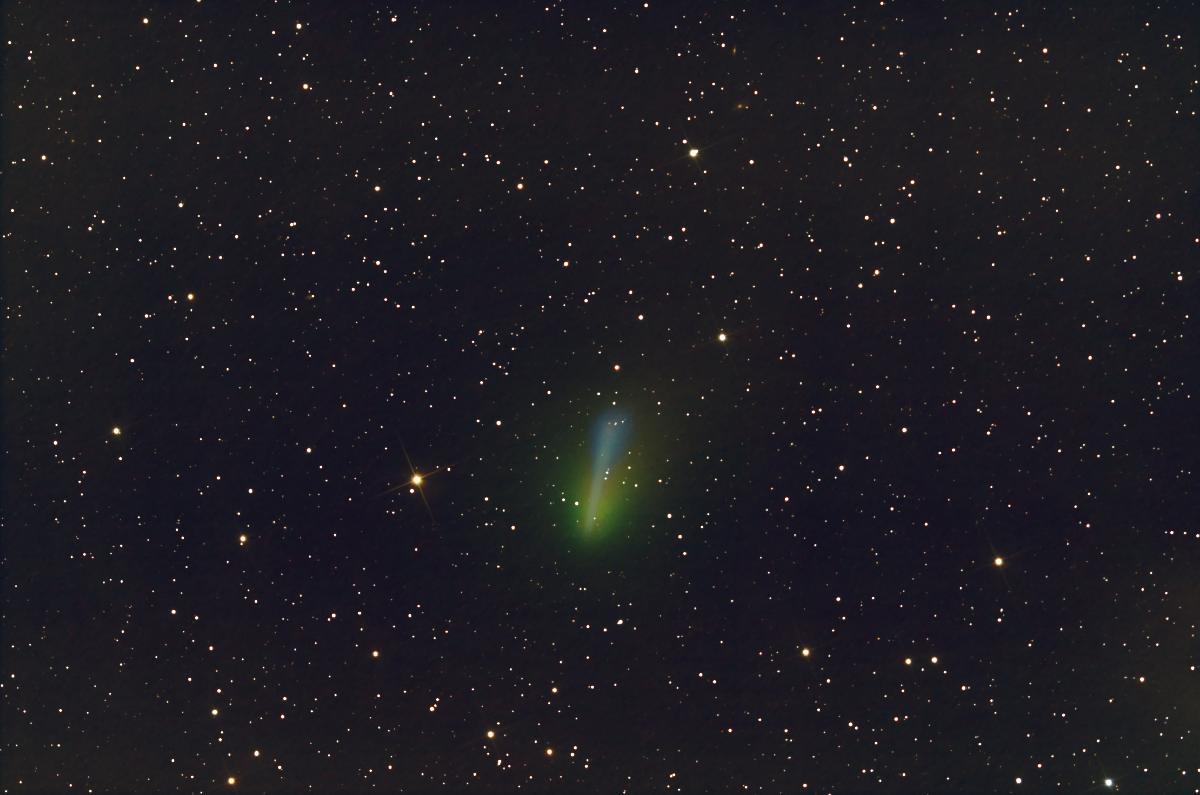 Comète 46P/Wirtanen au 05012019 (étoiles)