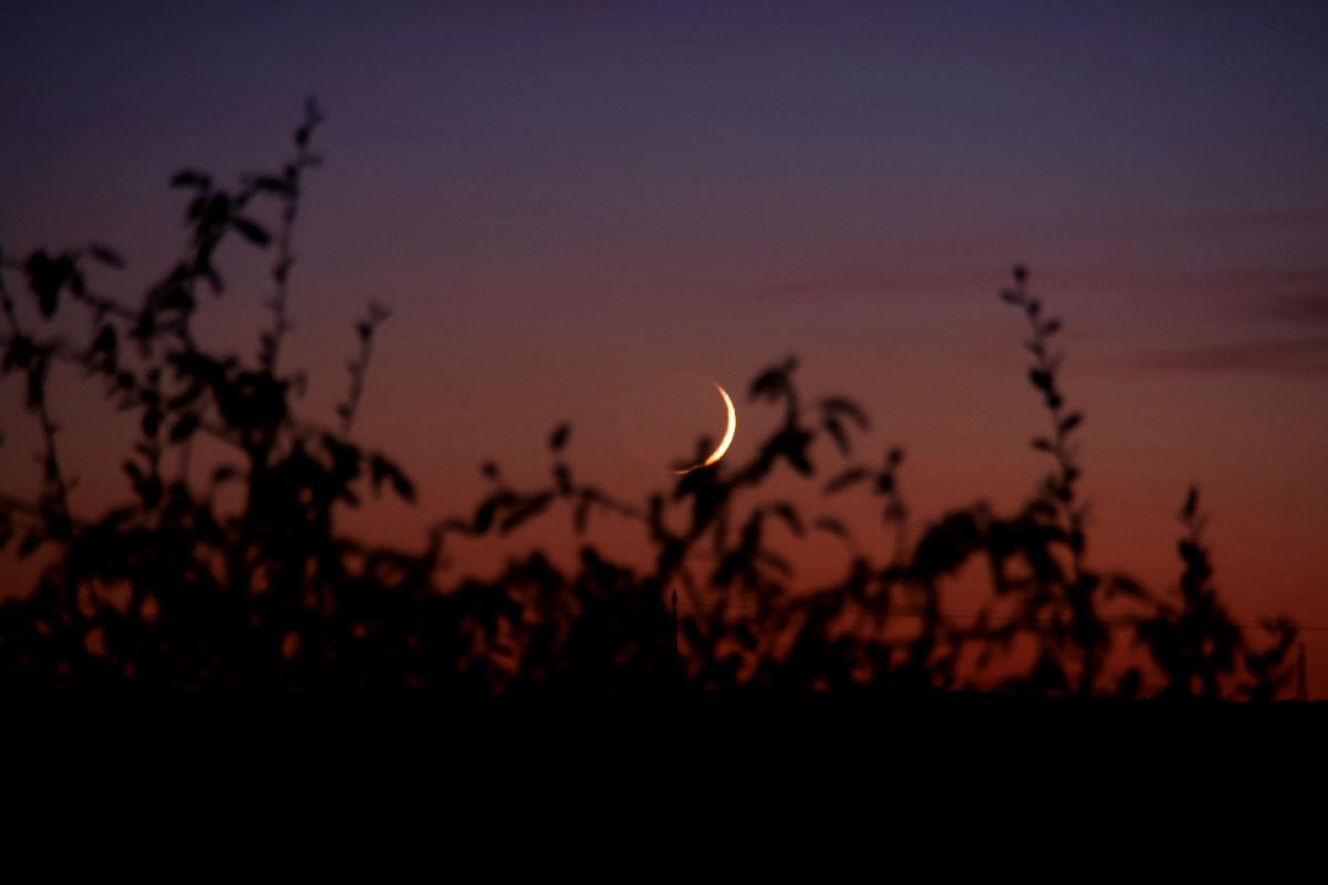 Coucher de Lune du 06/11/2021 (2)