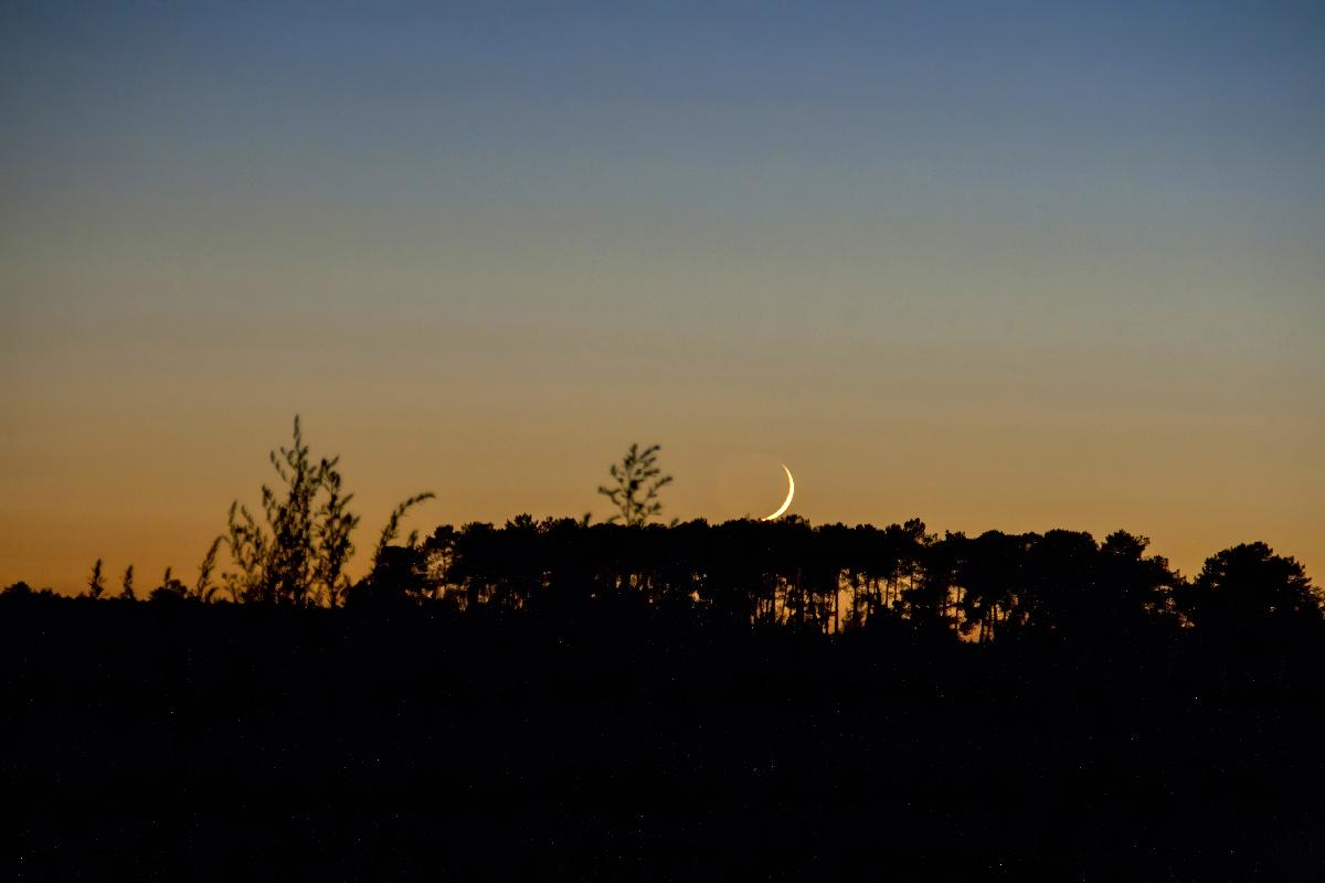 Coucher de Lune au 30/07/2022