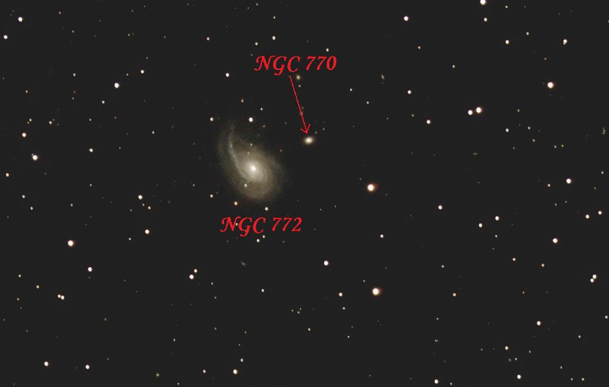 La galaxie de la Crosse de Fougère (Cropée)