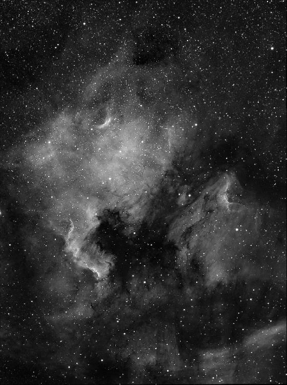 NGC7000