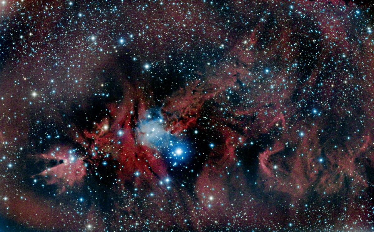 ngc2264