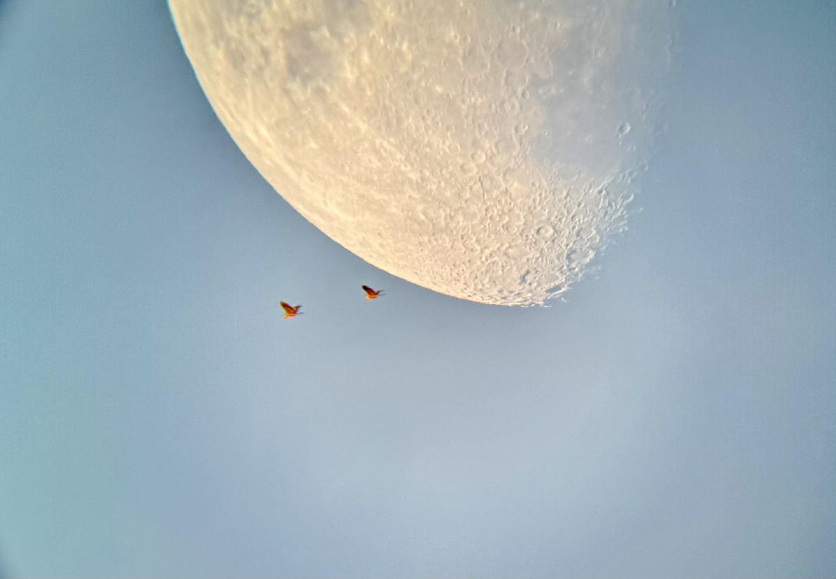 lune 24092023 lune 24092023