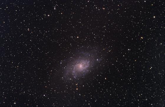 M33