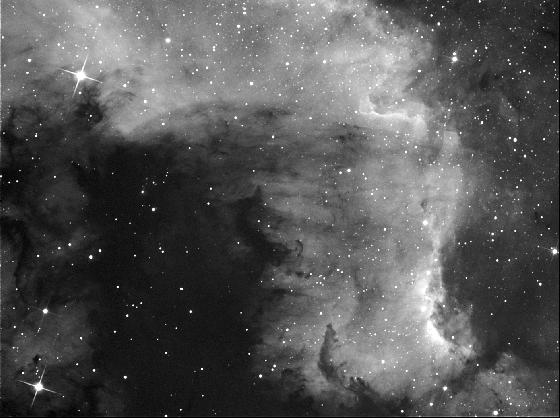 ngc7000 loulou&yoyo26