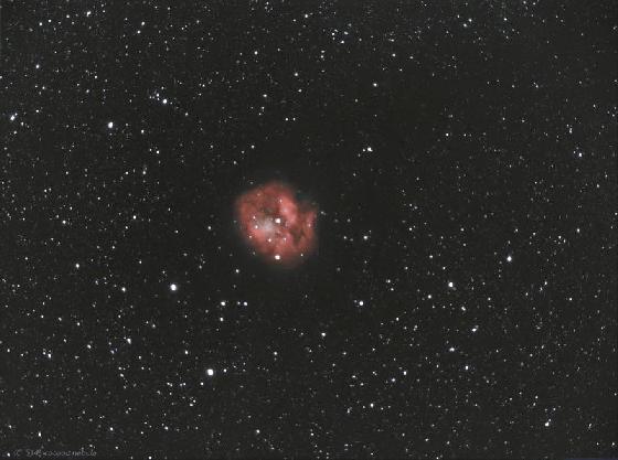 ic5146ALucien